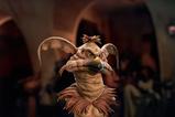 02-star-wars-episode-vi-legends-in-3d-busto-12-salacious-b-crumb-20-cm.jpg