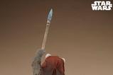 05-star-wars-episodio-vi--el-retorno-del-jedi-estatua-premium-format-wicket-46-.jpg