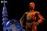 07-Star-Wars-Estatua-110-Deluxe-Art-Scale-C3PO--R2D2-31-cm.jpg