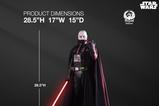 73-Star-Wars-Estatua-13-Darth-Vader-Hyperreal-Edition-72-cm.jpg