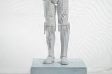 08-Star-Wars-Estatua-C3PO-Crystallized-Relic-47-cm.jpg