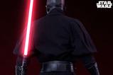 18-Star-Wars-Estatua-Hyperreal-Series-13-Darth-Maul-78-cm.jpg