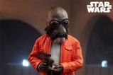 07-Star-Wars-Figura-Scum--Villainy-16-Ponda-Baba-30-cm.jpg