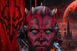 01-Star-Wars-Fine-Art-Busto-Darth-Maul-37-cm.jpg