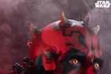 02-Star-Wars-Fine-Art-Busto-Darth-Maul-37-cm.jpg