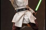 14-Star-Wars-Movie-Masterpiece-Figura-16-QuiGon-Jinn-Collector-Edition-32-cm.jpg