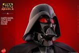 13-Star-Wars-Rebels-Figura-16-Darth-Vader-34-cm.jpg