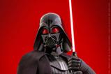 17-Star-Wars-Rebels-Figura-16-Darth-Vader-34-cm.jpg