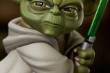 02-Star-Wars-The-Clone-Wars-Busto-17-Yoda-13-cm.jpg