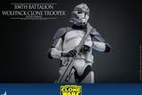 08-Star-Wars-The-Clone-Wars-Figura-16-104th-Battalion-Wolfpack-Clone-Trooper-Del.jpg