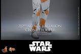 06-Star-Wars-The-Clone-Wars-Figura-16-212th-Attack-Battalion-Clone-Trooper-Delu.jpg