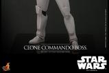 03-Star-Wars-The-Clone-Wars-Figura-16-Clone-Commando-Boss-Hot-Toys-Exclusive-30.jpg