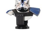 01-Star-Wars-The-Clone-Wars-Legends-in-3D-Busto-12-Captain-Rex-25-cm.jpg