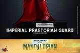 14-Star-Wars-The-Mandalorian-Figura-16-Imperial-Praetorian-Guard-30-cm.jpg