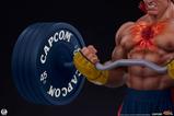 10-Street-Fighter-Estatua-Premier-Series-14-Evil-Ryu-Powerlifting-53-cm.jpg