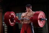 22-Street-Fighter-Estatua-Premier-Series-14-Ryu-Powerlifting-53-cm.jpg