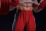 25-Street-Fighter-Estatua-Premier-Series-14-Ryu-Powerlifting-53-cm.jpg