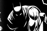 02-Taza-Batman-Shadows-DC-Comics.jpg