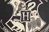 01-Taza-Caldero-Hogwarts-Harry-Potter.jpg