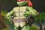 10-Teenage-Mutant-Ninja-Turtles-x-Usagi-Yojimbo-Ultimate-Figura-Raphael-18-cm.jpg