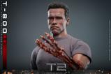 02-Terminator-2-Figura-16-Movie-Masterpiece-T800-Battle-20-32-cm.jpg