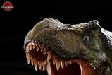 08-The-Lost-World-Jurassic-Park-Maqueta-112-Tyrannosaur-Buck-48-cm.jpg