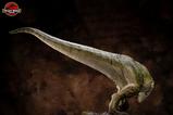 13-The-Lost-World-Jurassic-Park-Maqueta-112-Tyrannosaur-Buck-48-cm.jpg