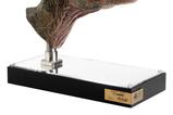 01-The-Lost-World-Jurassic-Park-Rplica-11-Junior-TRex-Prop-Reproduction-39-.jpg