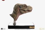 02-The-Lost-World-Jurassic-Park-Rplica-11-Junior-TRex-Prop-Reproduction-39-.jpg