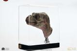 09-The-Lost-World-Jurassic-Park-Rplica-11-Junior-TRex-Prop-Reproduction-39-.jpg