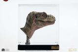 13-The-Lost-World-Jurassic-Park-Rplica-11-Junior-TRex-Prop-Reproduction-39-.jpg