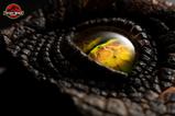 04-The-Lost-World-Jurassic-Park-Rplica-Male-Velociraptor-Eye-Prop-23-cm.jpg