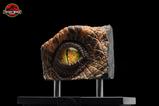 10-The-Lost-World-Jurassic-Park-Rplica-Male-Velociraptor-Eye-Prop-23-cm.jpg
