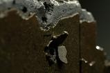 06-the-matrix-estatua-110-art-scale-neo-25-cm.jpg