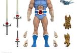 06-Thundercats-Figura-Ultimates-LionO-LED-Eyes-18-cm.jpg