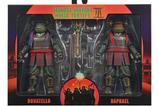 09-tmnt-ii-the-secret-of-the-ooze-2pack-figuras-donatello--raphael-18-cm.jpg