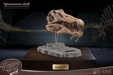 01-Wonders-of-the-Wild-Series-Estatua-Spinosaurus-Head-Skull-30-cm.jpg