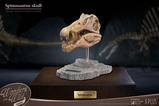 02-Wonders-of-the-Wild-Series-Estatua-Spinosaurus-Head-Skull-30-cm.jpg
