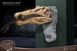 03-Wonders-of-the-Wild-Series-Estatua-Spinosaurus-Head-Skull-30-cm.jpg