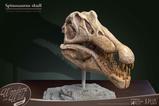 04-Wonders-of-the-Wild-Series-Estatua-Spinosaurus-Head-Skull-30-cm.jpg