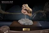 05-Wonders-of-the-Wild-Series-Estatua-Spinosaurus-Head-Skull-30-cm.jpg