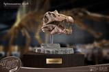 07-Wonders-of-the-Wild-Series-Estatua-Spinosaurus-Head-Skull-30-cm.jpg