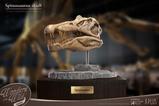 08-Wonders-of-the-Wild-Series-Estatua-Spinosaurus-Head-Skull-30-cm.jpg