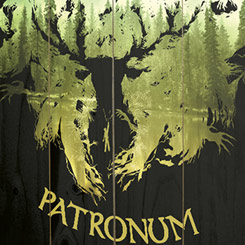 Póster realizado en madera de Harry Potter (Expecto Patronum), el Póster tiene un tamaño aproximado de 40 x 60 cm., decora tu espacio preferido con un toque retro.