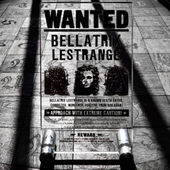 Réplica oficial del Cartel de búsqueda y captura de Bellatrix Lestrange basado en la saga de Harry Potter. El cartel tiene unas dimensiones aproximadas de 15 x 9 x 05 cm., el marco está realizado en vidrio transparente.