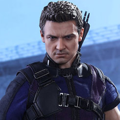 Detallada figura Edición Limitada de Ojo de Halcón (Hawkeye) basada en la película “Capitán América: Civil War" interpretado por Jeremy Renner, figura creada por la firma Hot Toys basándose en los bocetos originales de Marvel.