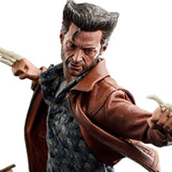 La figura coleccionable de alta precisión está especialmente diseñada en función de la aparición de Hugh Jackman como Wolverine en la película. Cuenta con una escultura de cabeza