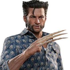 La figura coleccionable de alta precisión está especialmente diseñada en función de la aparición de Hugh Jackman como Wolverine en la película. Cuenta con una escultura de cabeza 