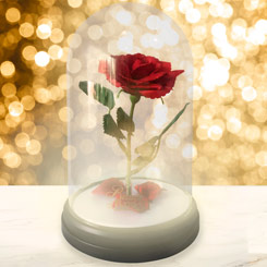 Preciosa lámpara en forma de la Rosa Encantada basada en el clásico de Disney “La Bella y la Bestia”. Esta lámpara tiene unas medidas aproximadas de 22 x 15 x 15 cm.