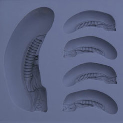 Fantástico molde de silicona con la forma de la cabeza de Alien (Big Chap de Alien). El molde tiene unas dimensiones aproximadas de 16 x 11 x 3 cm.